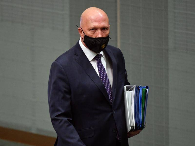 Peter Dutton has given evidence on the first day of his defamation case against a refugee activist.