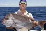 Populations of the threatened Australasian snapper are more diverse than realised, scientists say. (PR HANDOUT IMAGE PHOTO)