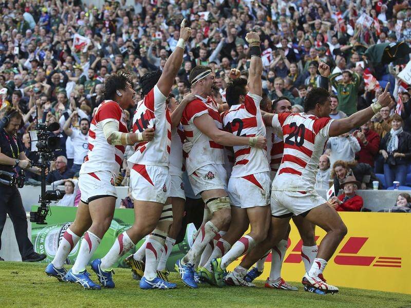 South Africa can atone for a RWC debacle against Japan in 2015 by eliminating their hosts in 2019.