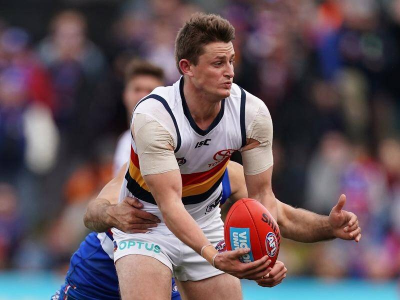 Adelaide's Matt Crouch is expected to miss at least another month of the AFL.