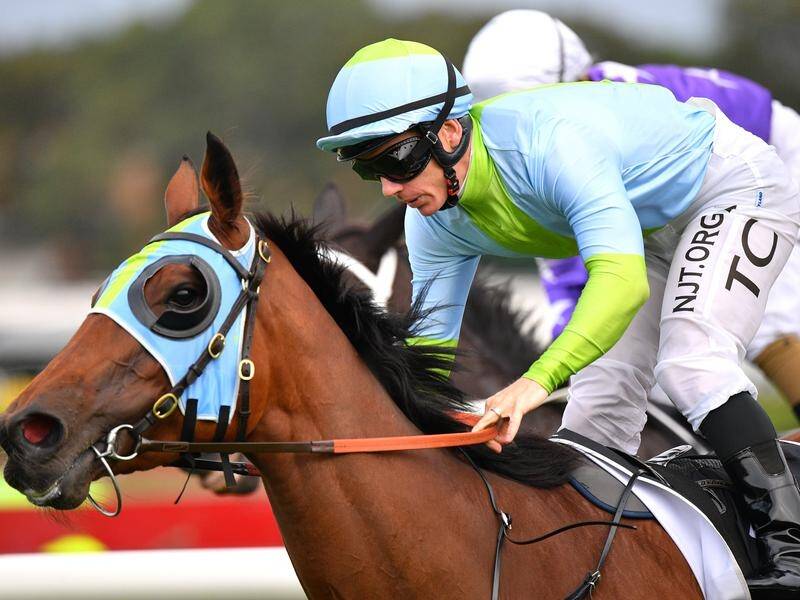 In-form mare Positive Peace has extended her winning streak to black-type level at Rosehill.