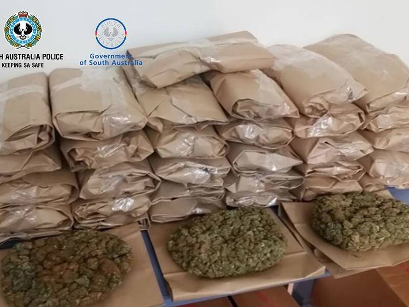 A NSW man allegedly attempted to post 15.5kg of dried cannabis to his home state from SA.