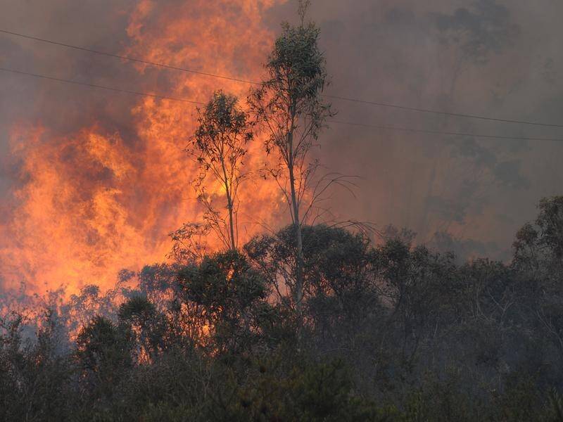 Former emergency chief across Australia call for action on risk of climate-change related disaster.