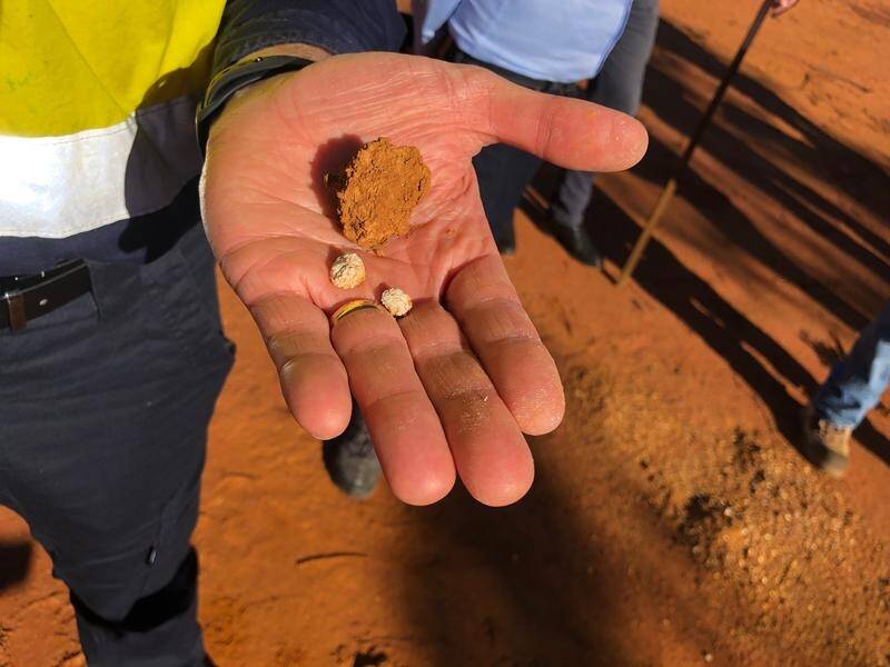 Ardea Resources has sealed a deal with two Japanese industrial giants to supply battery minerals. (Marion Rae/AAP PHOTOS)