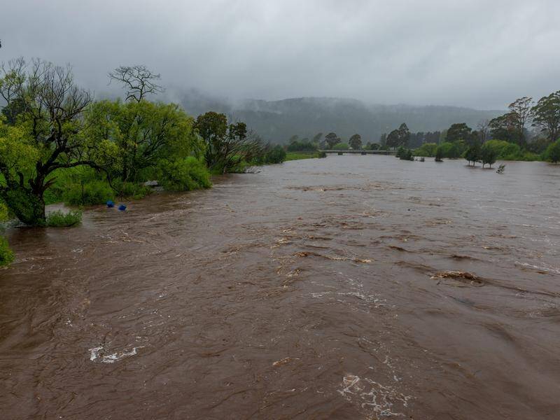 River peaks in some parts of Tasmania could reach levels seen during the deadly 2016 floods. (Phillip Biggs/AAP PHOTOS)
