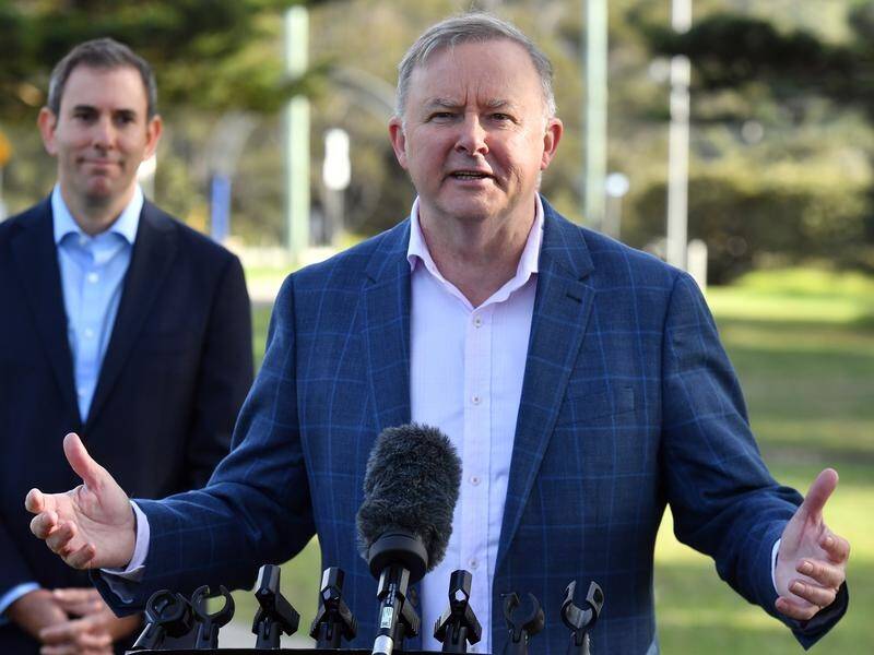 Anthony Albanese has accused the government of putting reform issues in the "too hard basket".
