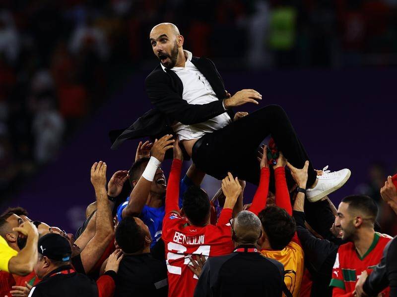 Coach Walid Regragui is the mastermind of Morocco's amazing run to the semi-finals of the World Cup. (AP PHOTO)