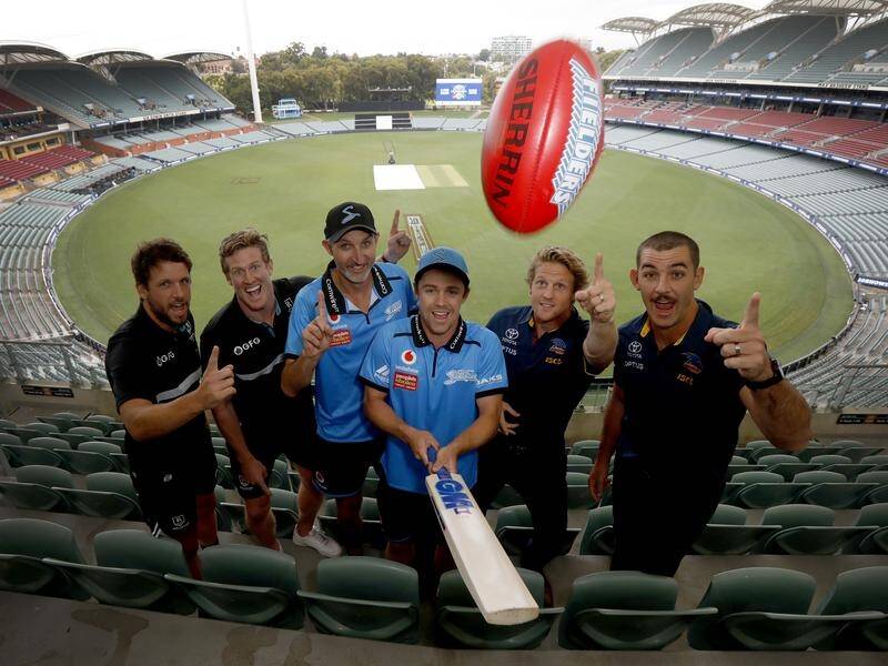 An AFL All Stars fundraiser will be played later in February following the Crows/Strikers T20 match.
