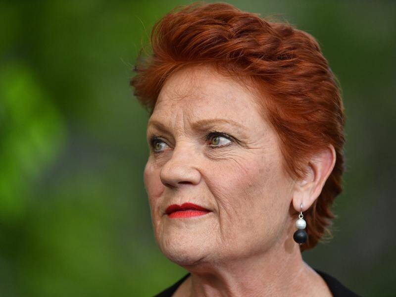 Senator Pauline Hanson withdrew support for the federal government's union-busting legislation.