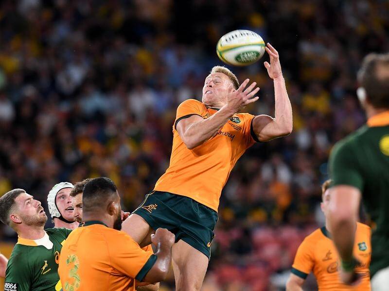 Reece Hodge gets his chance at fullback when the Wallabies host Argentina in Townsville on Saturday.