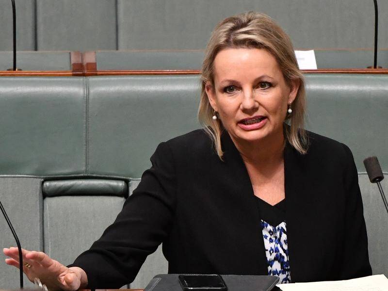 Sussan Ley has the support of just two Liberal colleagues for her bill to end the live sheep trade.