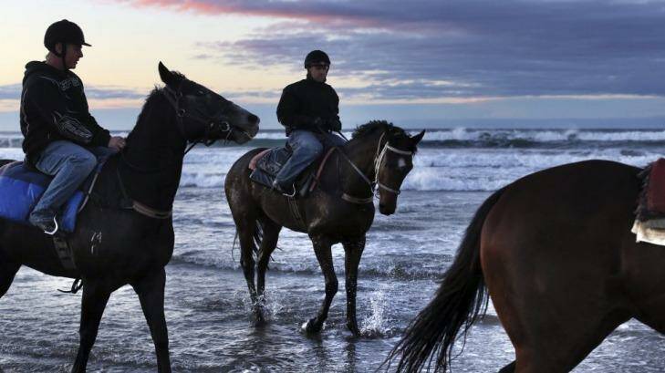Adventure: King's Officer on Seven Mile Beach where he attempted to swim to New Zealand. Photo: Nick Moir