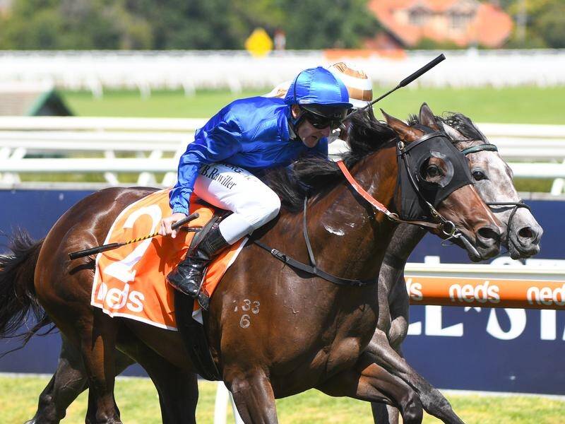 Godolphin's La Tene has rediscovered her best form to win the Angus Armanasco Stakes at Caulfield.