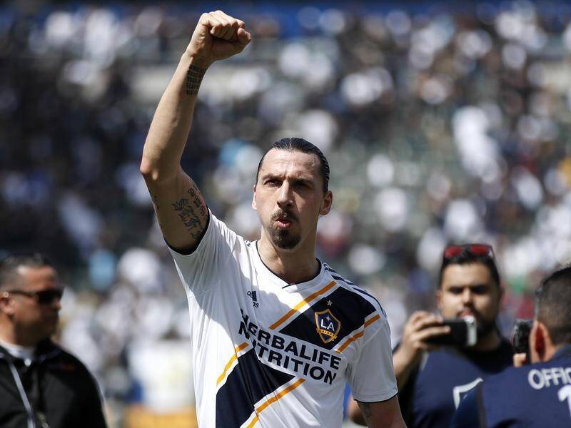 Zlatan Ibrahimovic has turned down the chance to sign for Serie A side Bologna.