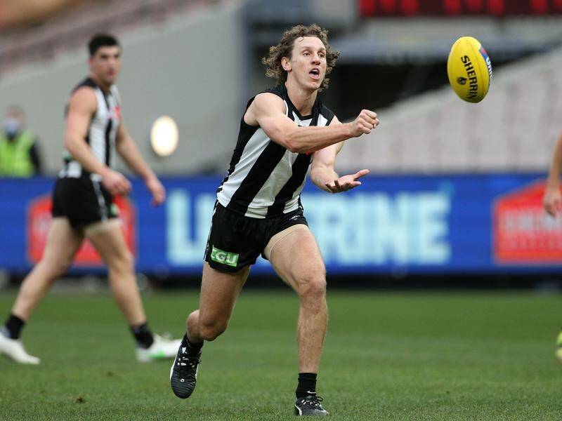 Collingwood veteran Chris Mayne's AFL playing career will be over at the end of this season.