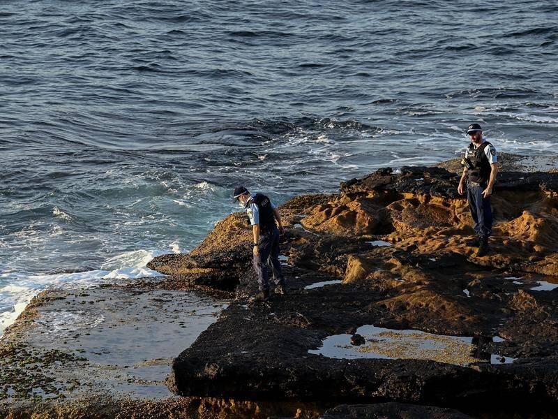 Thirteen eastern Sydney beaches closed after a fatal shark attack are reopening on Friday.