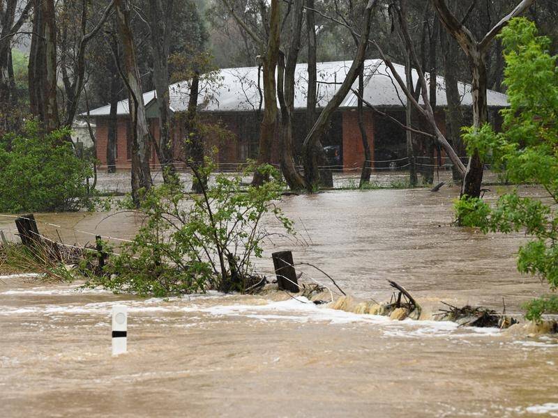 Hundreds of low-lying properties in central Victoria are under threat from major flooding. (James Ross/AAP PHOTOS)