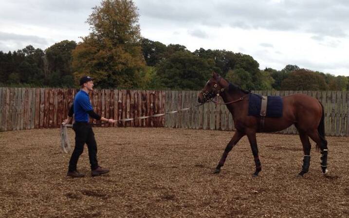 TRAINING: Dane puts Silca's Sister through her paces on the lunge line. 