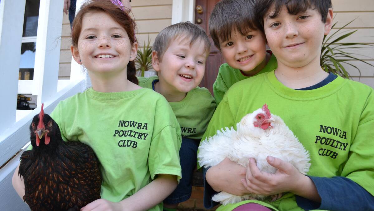 CHEERING CHOOKS: Aleah (8) with her barnevelder chicken Rose, Ollie (2), Caleb (4) and Ethan (10) Gooding from West Nowra with his white frizzlo chicken Custard are excited to start prepping their chooks for the Nowra Poultry Show.