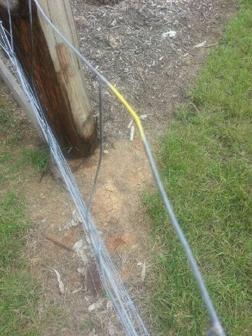 One of the yellow markings on Mrs Saviane’s fence before she scratched it off.