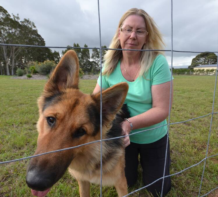 Cathy Saviane with her German Shepherd. She found her dog’s fence had been marked with yellow paint in five places on Sunday.