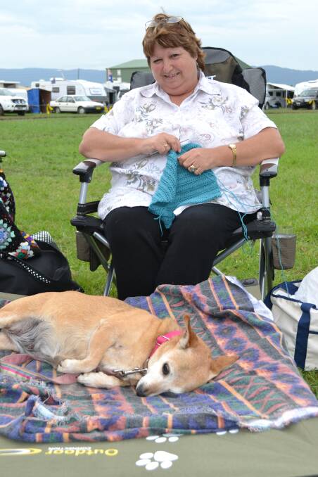 Vicki Pye from Shoalhaven Heads enjoys music and knitting with her dog Goldie at the Terara Country Music Campout on Saturday.