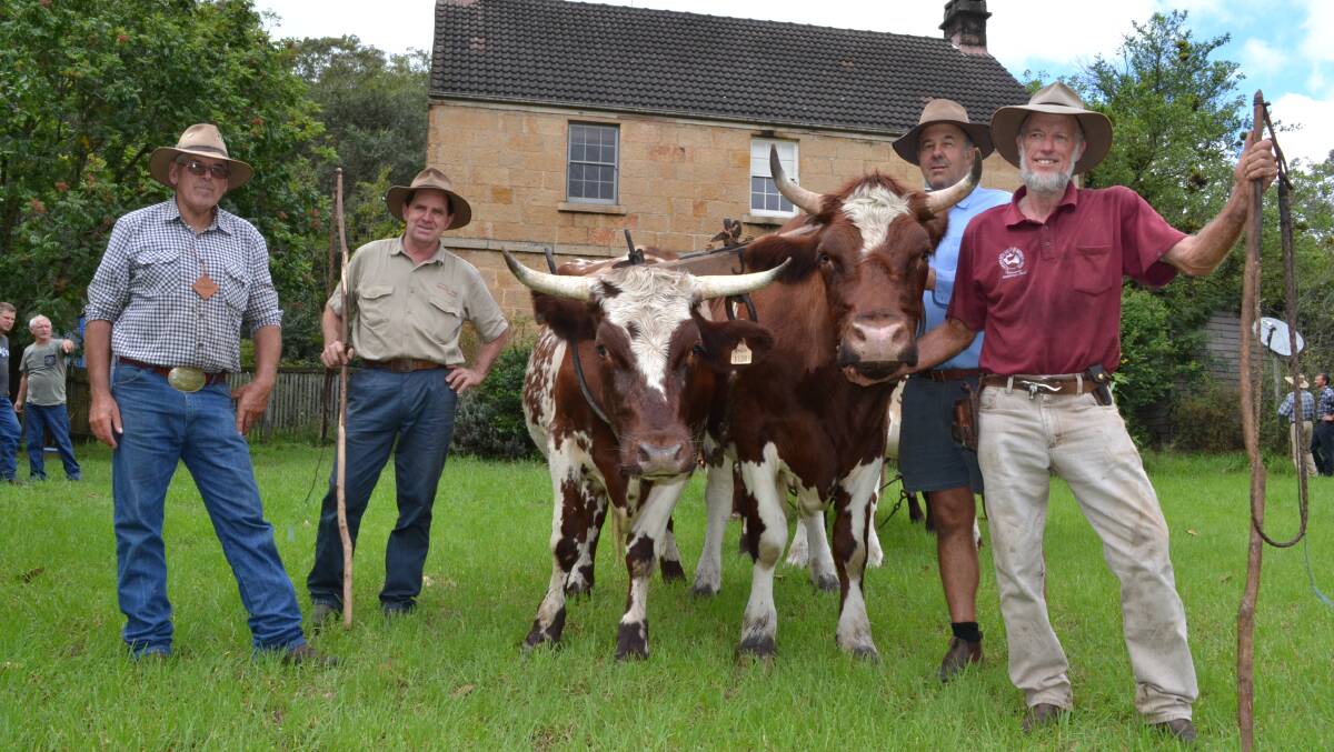 LIVING HISTORY: Tomerong resident and president of the Australian Bullock Drivers’ League Ron McKinnon (second from left) and fellow local bullocky Geoff Cochrane (right) with visitors Brian Fish of Tasmania and Philip Thomson of Queensland during the visit to the historic Emery property at Wogamia.