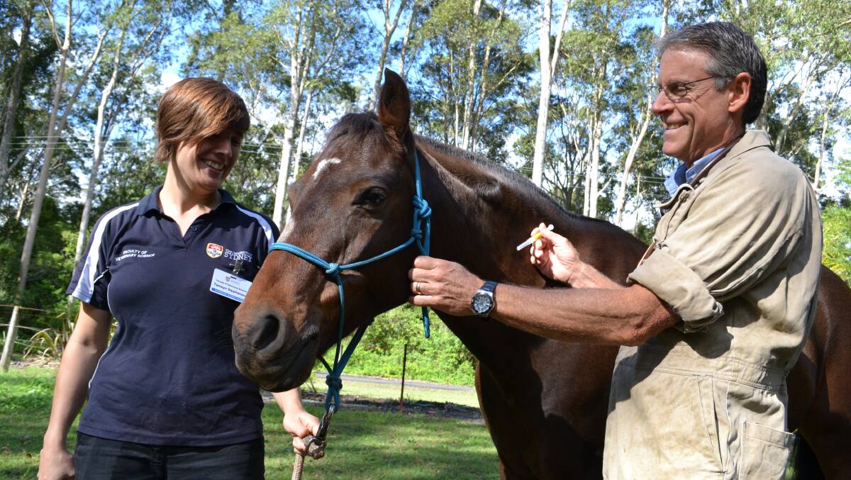 PREVENT DISEASE: Veterinary understudy from University of Wollongong Tamsyn Stephenson helps Bomaderry Veterinary Hospital veterinarian Gary Bryce prep his horse for his yearly tetanus injection, reminding locals to keep their vaccines up to date.
