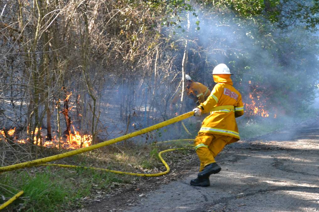 HOT WORK: Fire Rescue NSW and Rural Fire Service crews contain a suspicious blaze in bushland behind the TAFE Illawarra Nowra Campus at Bomaderry.