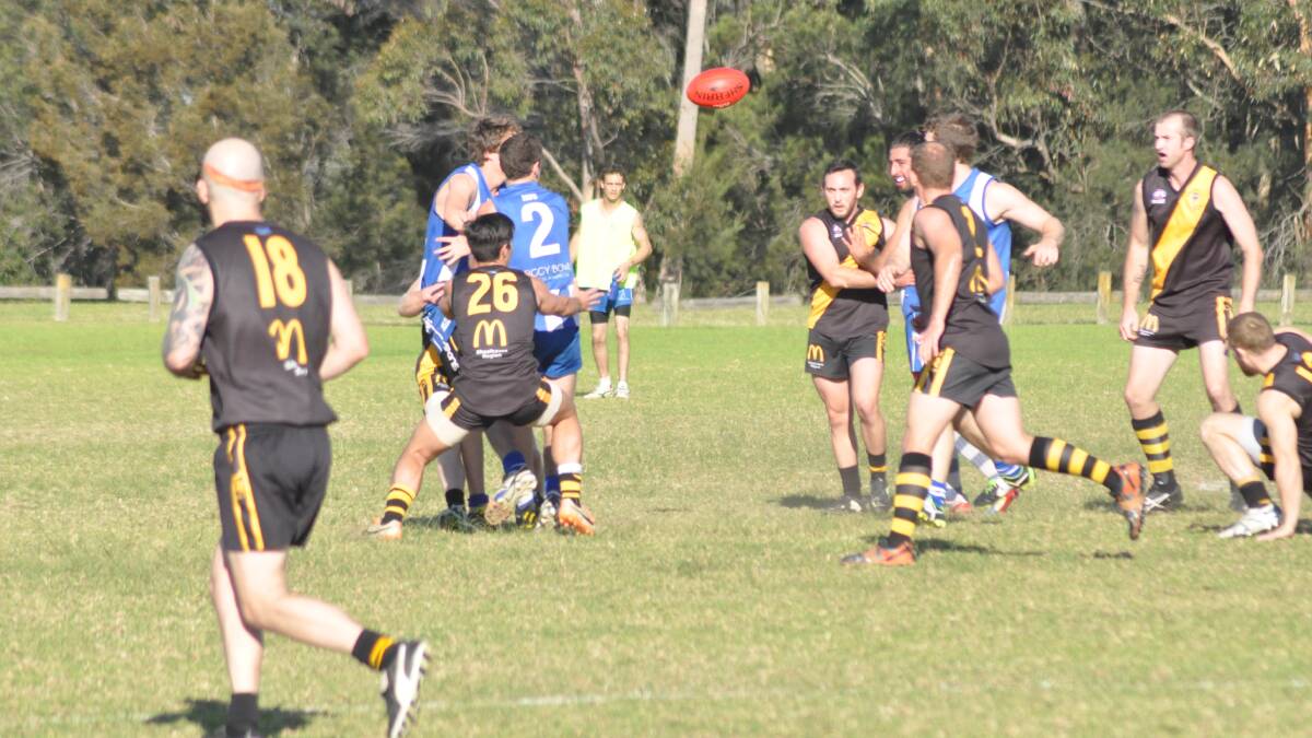 BACK IN THE GOOD BOOKS: The Bomaderry Tigers rejoice being back in the winning circles thanks to a win over the Figtree Kangaroos last weekend.