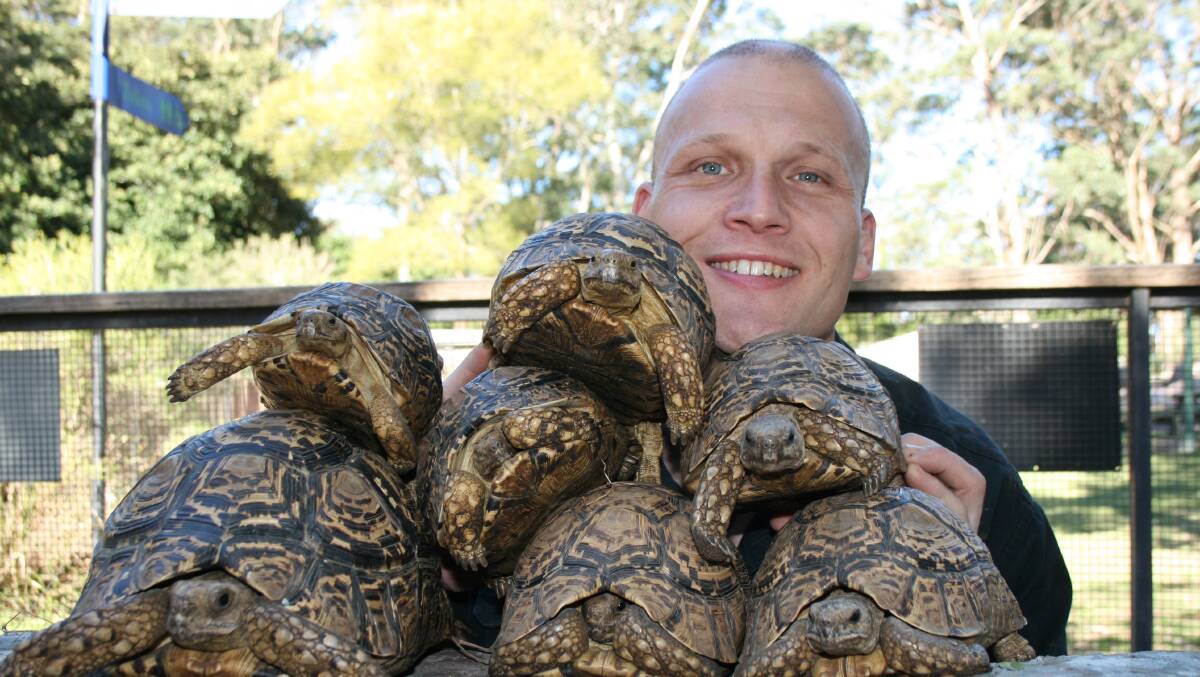 TAKEN: Shoalhaven Zoo owner Nick Schilko with the leopard tortoises stolen from their enclosure on Wednesday night. 
