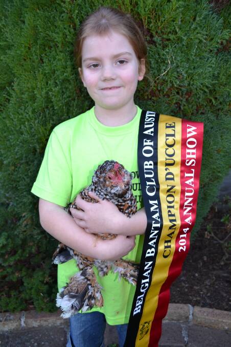 CHAMPION CHOOK: Molly Johnson from North Nowra recently took out the Nowra Poultry Club show with her prized Belgian Bantum D’uccle chicken Mrs Speckles.