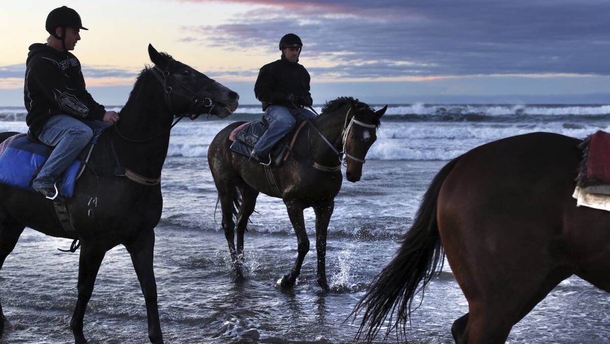 ADVENTURE: King’s Officer on Seven Mile Beach where he attempted to swim to New Zealand.

Photo: Nick Moir