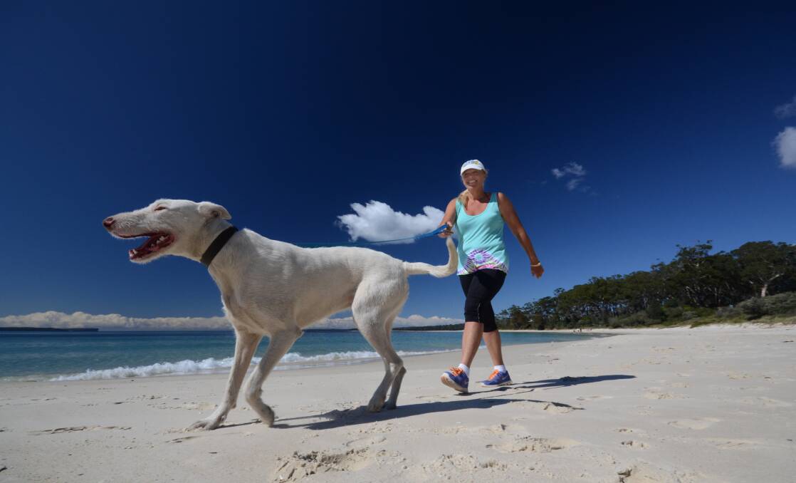 Melissa McManus from Woollamia and Smoothy the Wonderdog love a walk on the beach. Photo: file. 