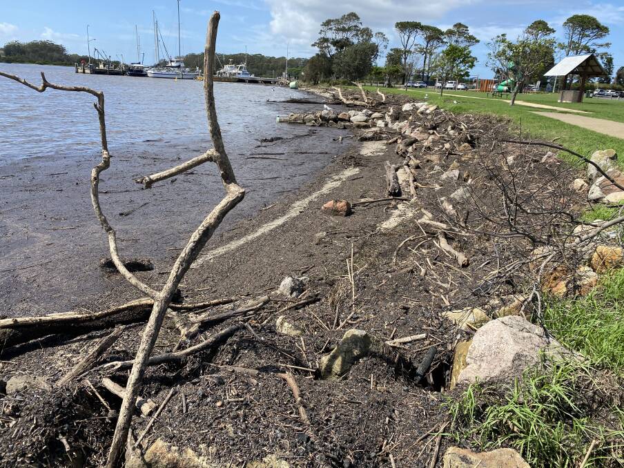 Some of the ash and branches washed up along most of the Greenwell Point shore. 