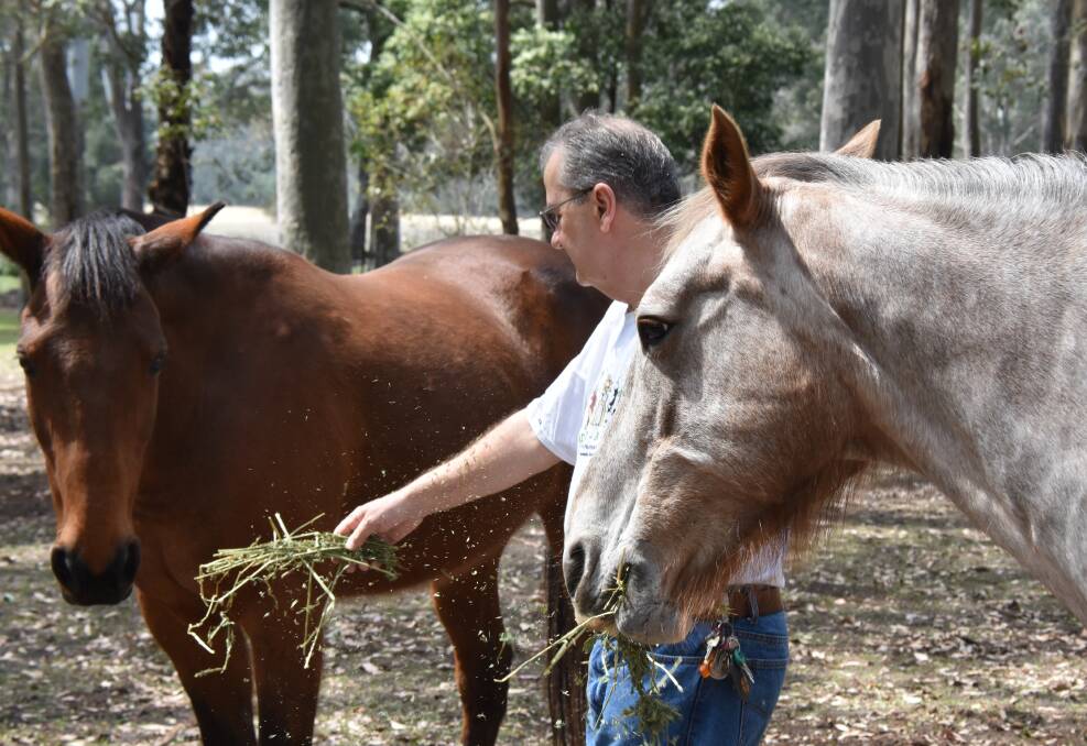 Lush life: John Hughes feeding the two rescued royals Harry and Meghan who now reside on his property in North Nowra.