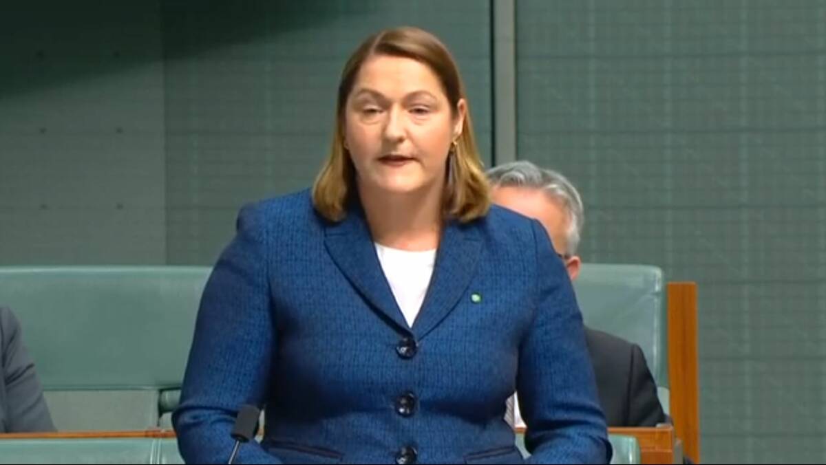 Beginnings: MP Fiona Phillips giving her maiden speech in July 2019 where she outlines Princes Highway funding, stopping nuclear energy and increasing Newstart as her priorities.