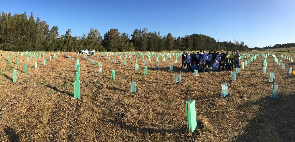 University of Technology, Sydney students with Berry Landcare planting trees along Campbells Run - just down the road from the proposed subdivision. 
