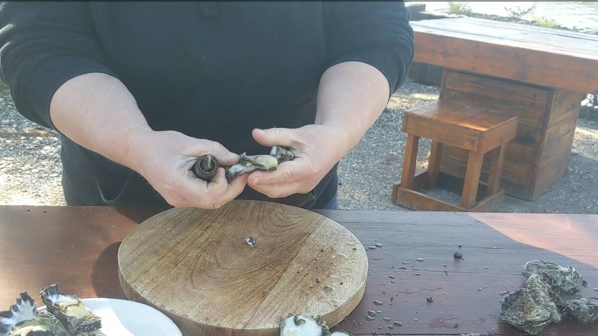 Oyster farmer Sally MacLean demonstrating how to shuck an oyster.