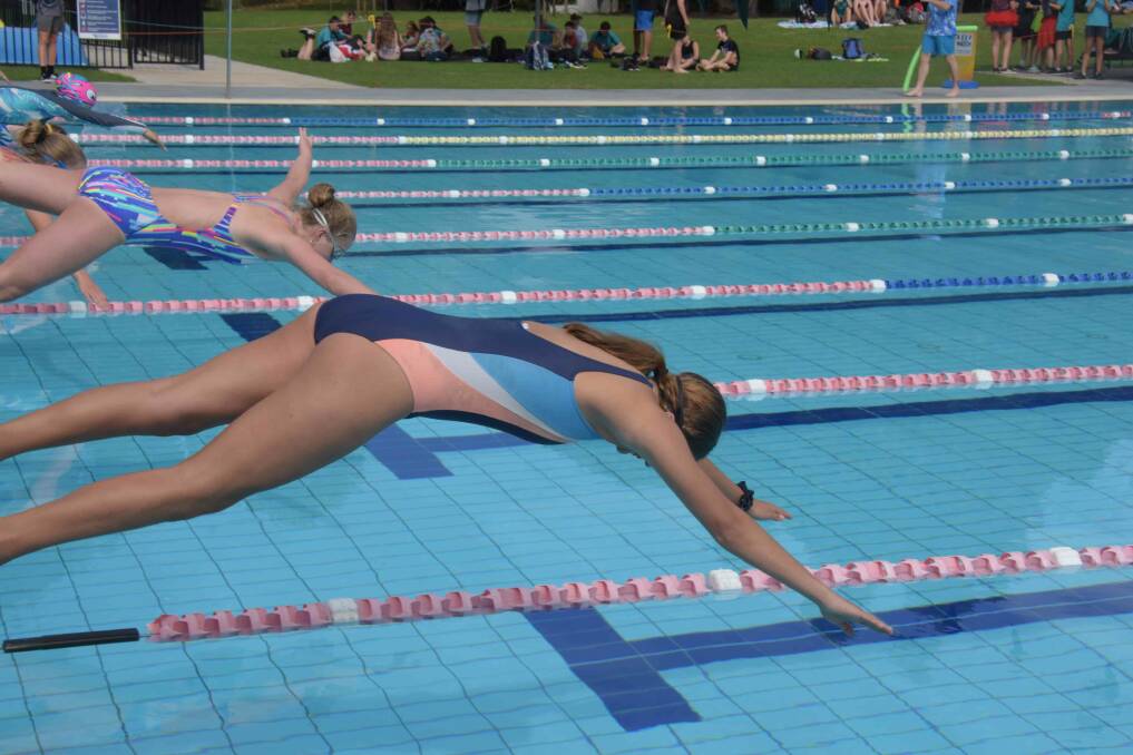 Shoalhaven High School's swimming carnival