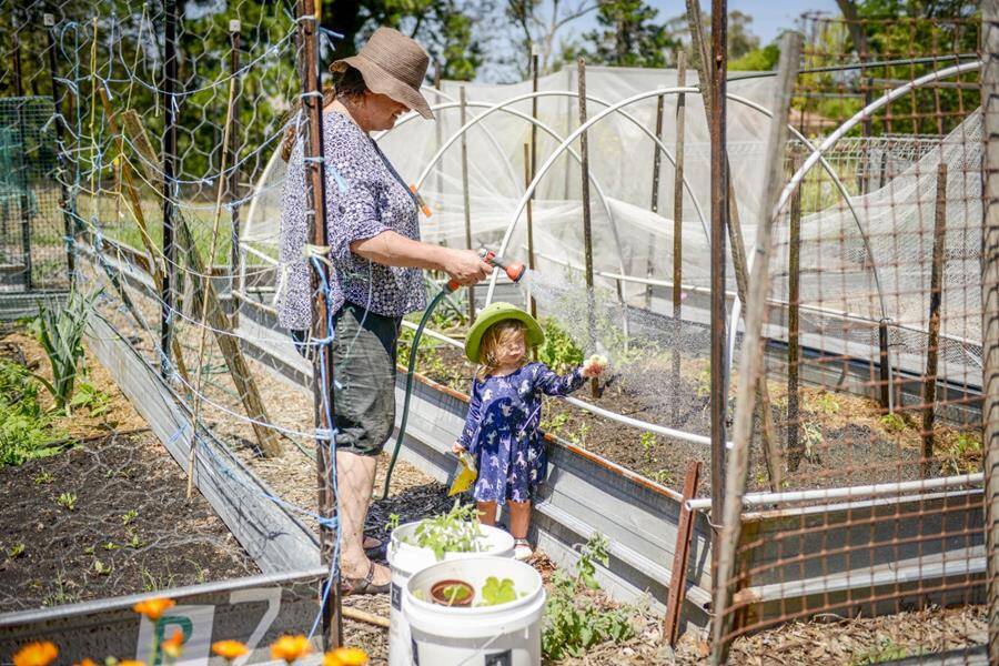 A community garden is just one initiative that has received a grant through Shoalhaven City Council's Community Development Program.