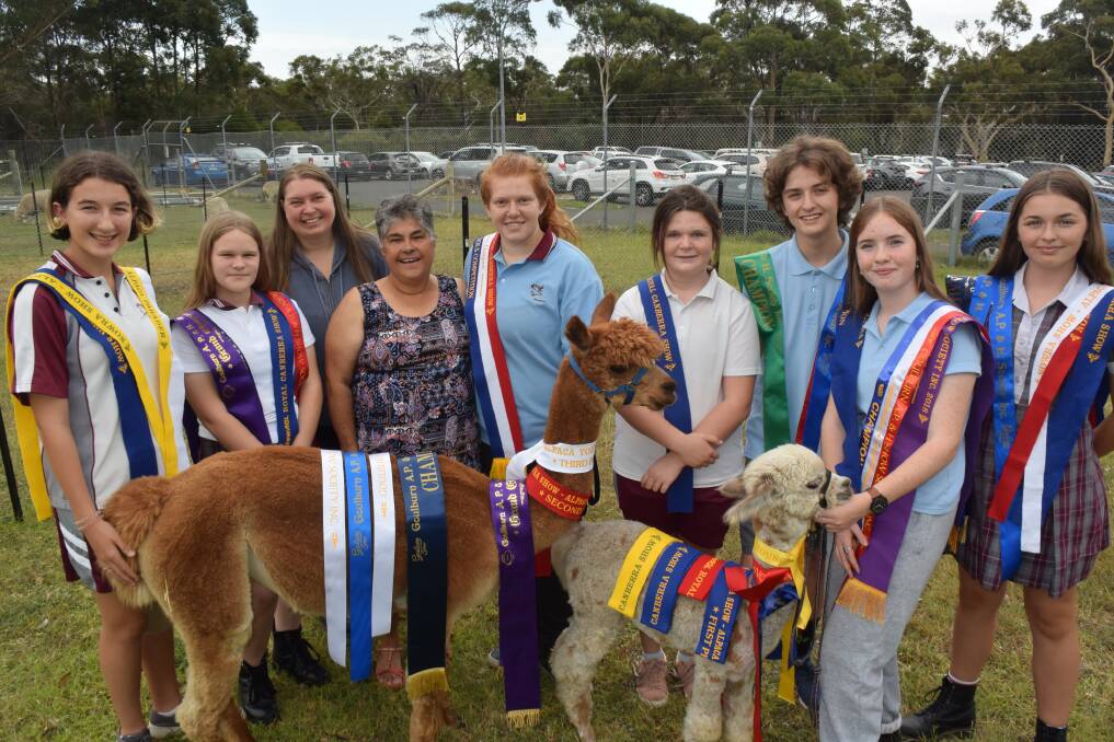 Students and alpacas make an award winning combination.