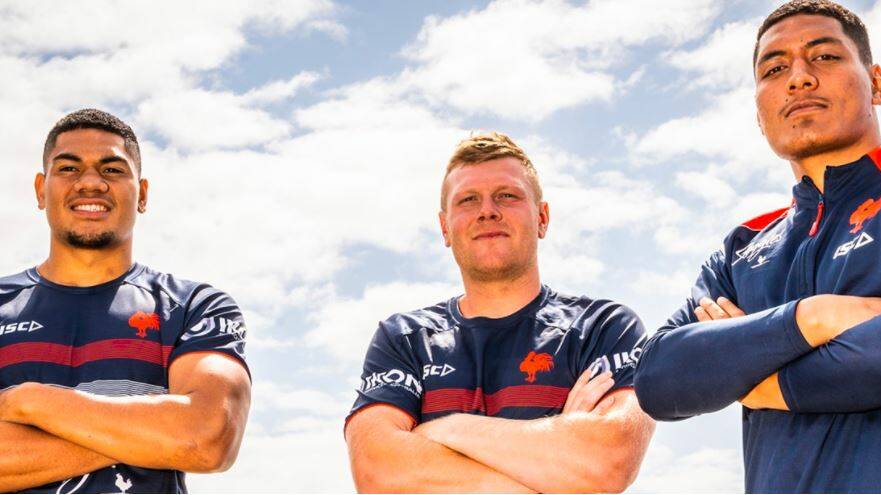 Group Seven Rugby League product Drew Hutchison [middle] has extended his stay with the Sydney Roosters. Photos Roosters.com
