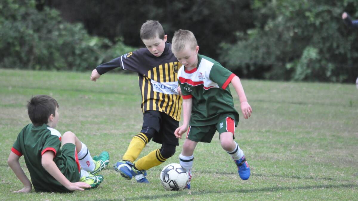 Junior Football action