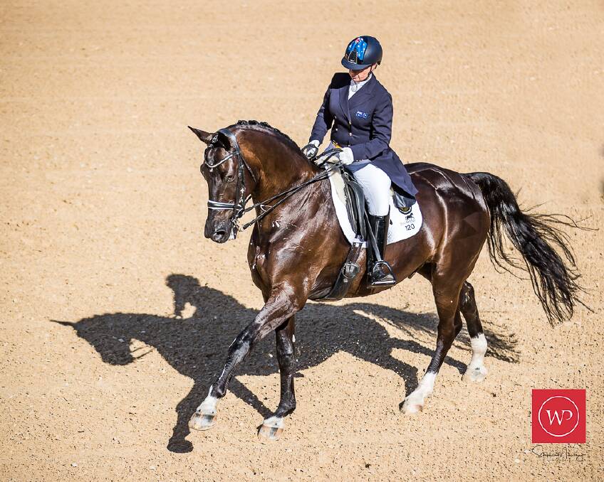 Willinga Park to host Dressage by the Sea