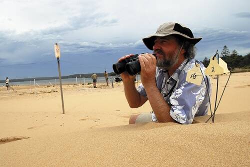 CARETAKING: Shorebird volunteer Mike Adramowitz watches over the little tern colony at Culburra Beach. Inset: one of the little tern hatchlings.