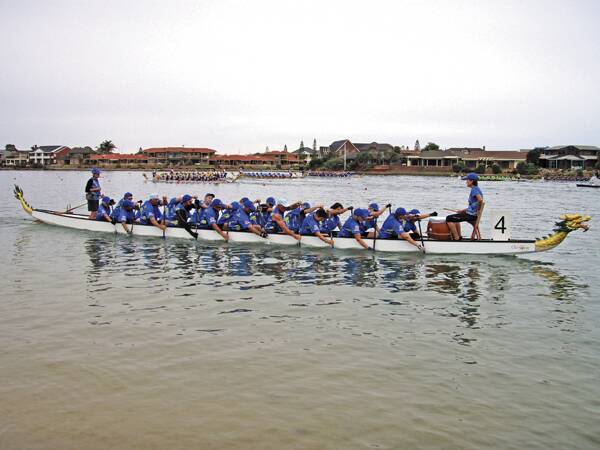 READY TO STAR: The Nowra Waterdragons Grandmasters Dragonboat crew in action at the recent national titles in Adelaide under the guidance of drummer Cathy Rodden and sweep Sue Maloney including Wendy Westaway, Wendy Mitchell, Kerry Bates, Jude Panucci, Steve Brisbane, Barry Passlow, Trevor Maloney, John Vagg, Col West, Sandra Ellis, Maggie New and Pam Brereton.
