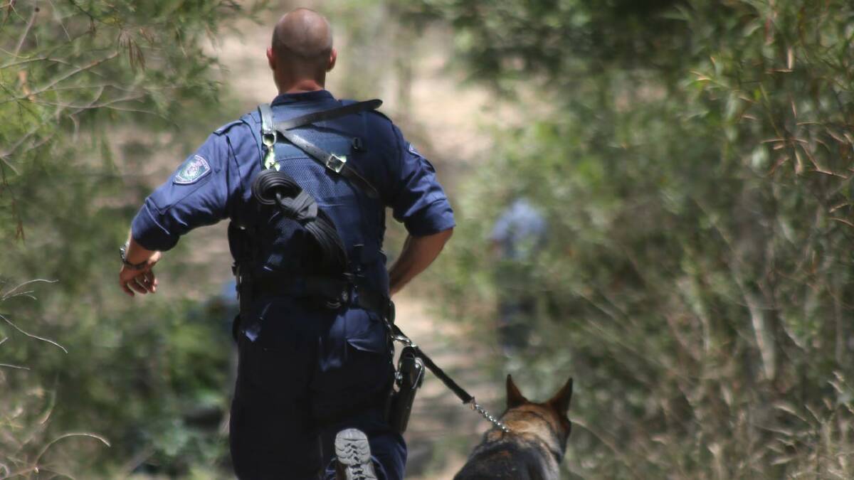 PURSUIT: An officer and police dog join the chase for a fugitive in South Nowra on Friday.