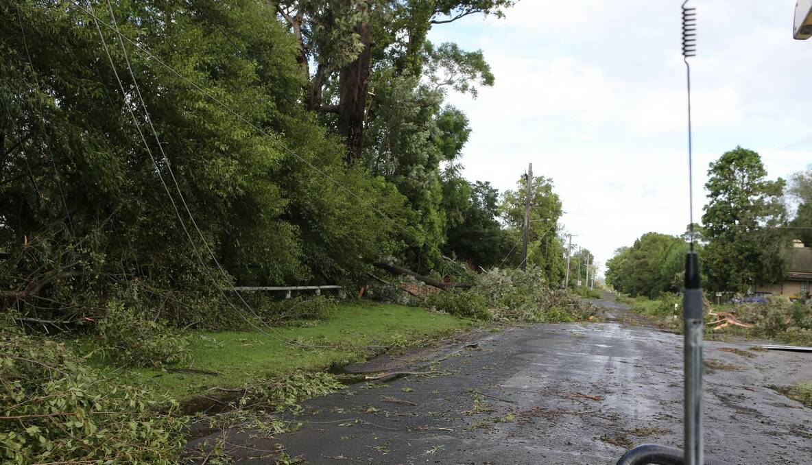 Storm damage at Terara after Sunday morning's wild weather which residents have described as a "mini cyclone".