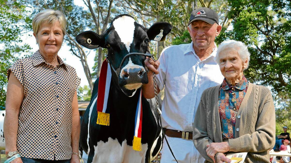 FAMILY TIES: Nowra Show chief cattle steward Alan Garratty proudly accepts the Furn Garratty Memorial named in his late father’s honour by judge Jenny Grey and his mother Bess Garratty.